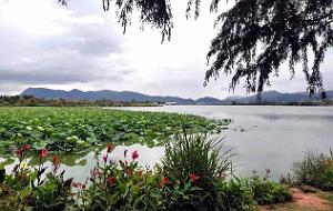 KUNMING - Parc Daguan - 53